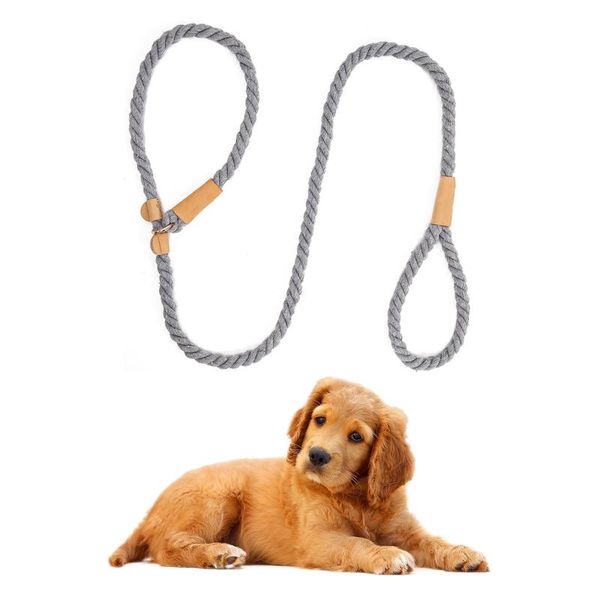 colors optional dog slip rope leash sturdy cotton training 5.6 feet adjustable loop collars & leashes
colors optional dog slip rope leash sturdy cotton training 5.6 feet adjustable loop collars & leashes