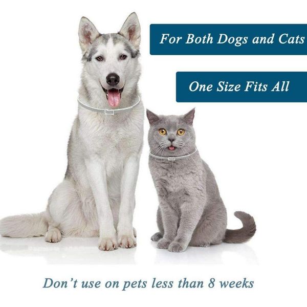 dog flea collar for pet cat anti and tick lice pest mosquitoes collars kill parasite deworming small medium pets & leashes
dog flea collar for pet cat anti and tick lice pest mosquitoes collars kill parasite deworming small medium pets & leashes