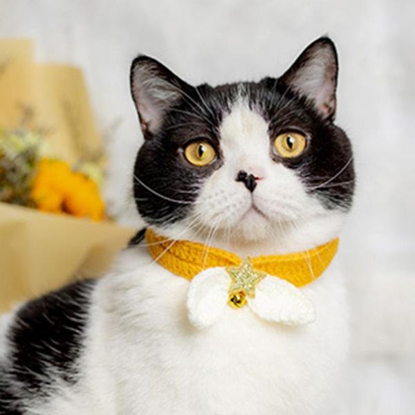 cat collars & leads novel pet neck collar exquisite woolen yarn elastic adjustable cats jewelry pets
cat collars & leads novel pet neck collar exquisite woolen yarn elastic adjustable cats jewelry pets