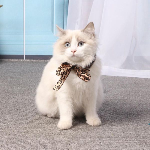 cat collars & leads lechong pet bow tie bowknot leopard collar winter fashion warm chihuahua dog scarf plush comfortable
cat collars & leads lechong pet bow tie bowknot leopard collar winter fashion warm chihuahua dog scarf plush comfortable