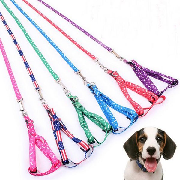 dog collars & leashes s printed and bone puppy pet leash harness collar chain cat rope belt adjustable dogs
dog collars & leashes s printed and bone puppy pet leash harness collar chain cat rope belt adjustable dogs