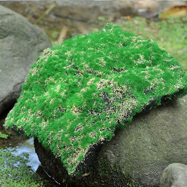 simulation moss turf lawn wall green fake plant diy artificial grass mat for wedding home el background shop decora decorative flowers & wre
simulation moss turf lawn wall green fake plant diy artificial grass mat for wedding home el background shop decora decorative flowers & wre
