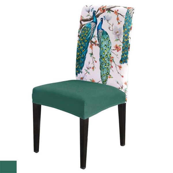 chair covers peacocks standing on a branch cover for dining room chairs high back living sets home kitchen
chair covers peacocks standing on a branch cover for dining room chairs high back living sets home kitchen