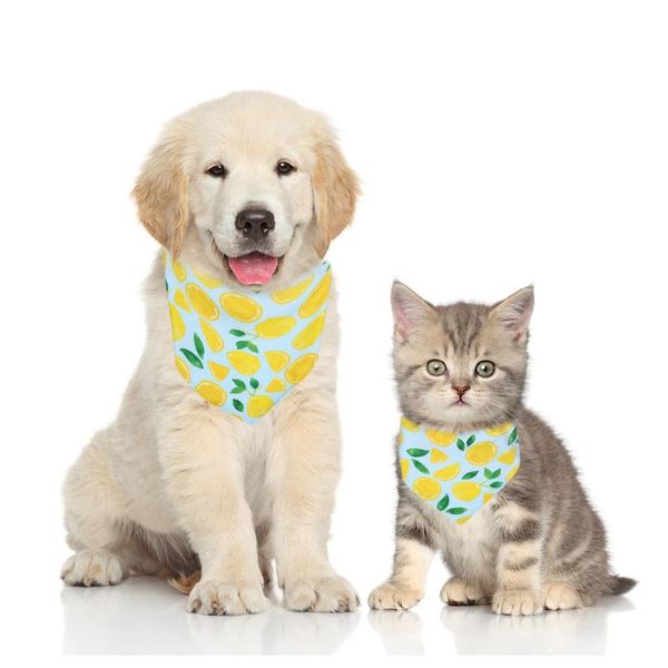 dog apparel pet bibs scarf for small medium necktie puppy collar cat triangular bandanas bow ties grooming accessories
dog apparel pet bibs scarf for small medium necktie puppy collar cat triangular bandanas bow ties grooming accessories