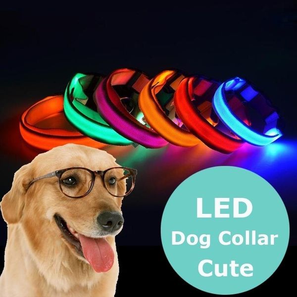 dog collars & leashes usb charging led collar night safety flashing glow in the dark leash creative anti-loss perro
dog collars & leashes usb charging led collar night safety flashing glow in the dark leash creative anti-loss perro