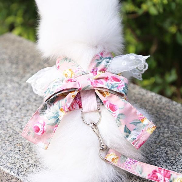 dog collars & leashes pet harness lace bownot cute puppy chest belt collar adjustable and leash set bow for vest
dog collars & leashes pet harness lace bownot cute puppy chest belt collar adjustable and leash set bow for vest
