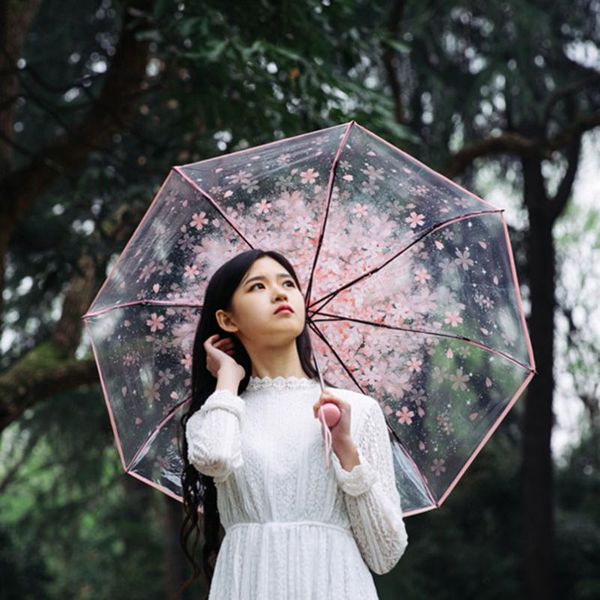 umbrellas three fold umbrella women transparent clear cherry blossom mushroom apollo sakura folding sunshade rain parasol
umbrellas three fold umbrella women transparent clear cherry blossom mushroom apollo sakura folding sunshade rain parasol