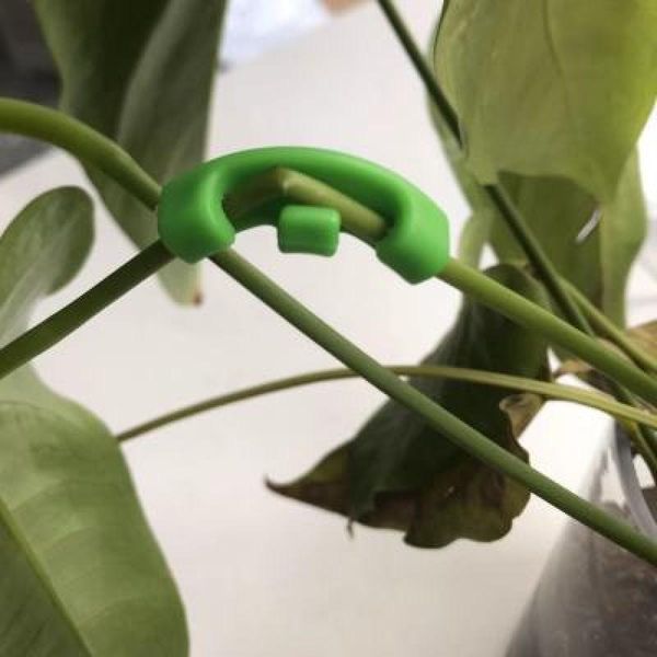 planters & pots 10 pcs bend the plant clips 90 degree bender for low stress training and plants curved holder
planters & pots 10 pcs bend the plant clips 90 degree bender for low stress training and plants curved holder