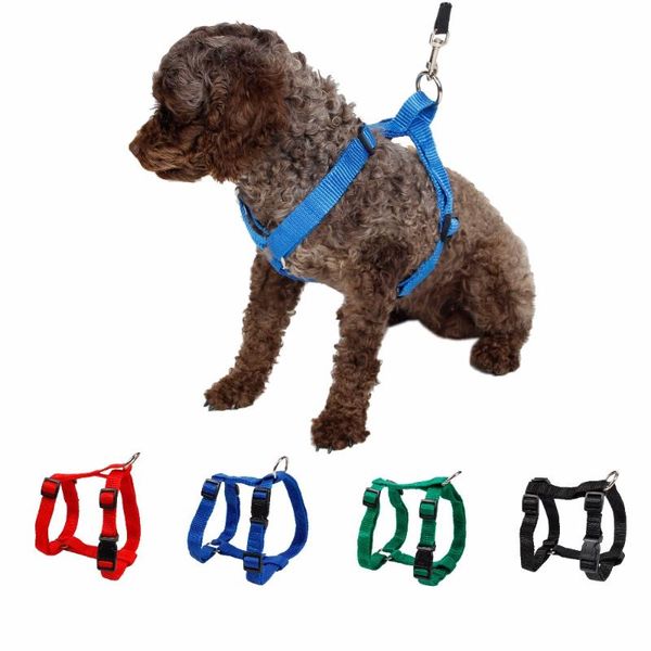 dog collars & leashes pet nylon harness leash adjustable safe control restraint cat puppy soft walk vest blue red black green
dog collars & leashes pet nylon harness leash adjustable safe control restraint cat puppy soft walk vest blue red black green