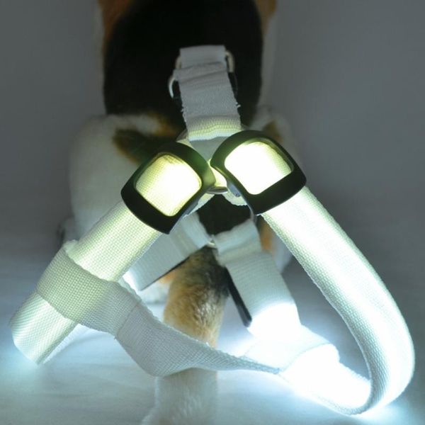 rechargeable chest harness led pet dog glow flashing light-up night safety s55 collars & leashes
rechargeable chest harness led pet dog glow flashing light-up night safety s55 collars & leashes