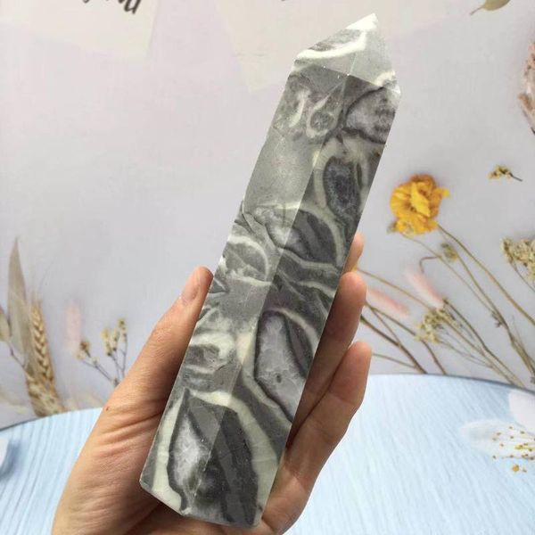 turtleback stone keel stone, fossil conch crystal column specimen home decoration decorative objects & figurines
turtleback stone keel stone, fossil conch crystal column specimen home decoration decorative objects & figurines