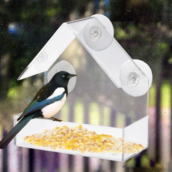 other bird supplies feeder acrylic house-shaped clear glass window creative outdoor garden feeding pet accessories
other bird supplies feeder acrylic house-shaped clear glass window creative outdoor garden feeding pet accessories
