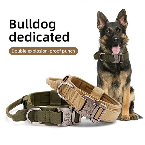 pet collar large and medium dog collar traction rope is strong durable adjustable length stainless steel buckle