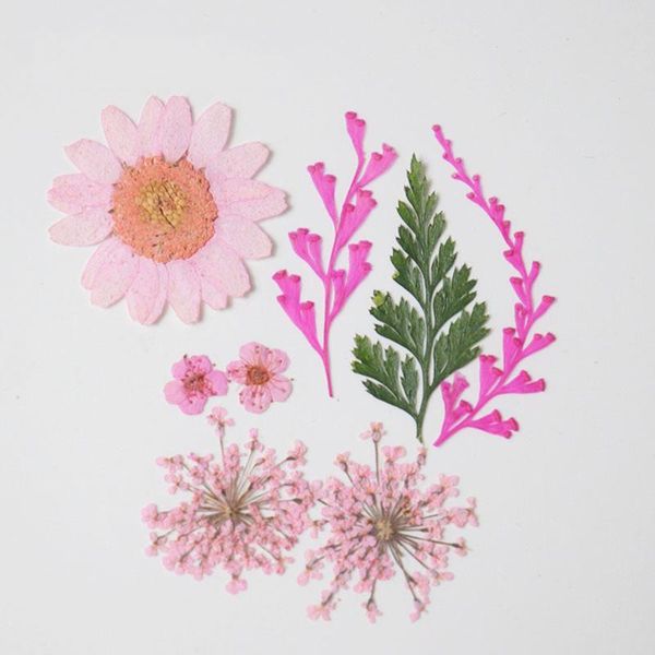 package real dried mixed flower dry plants for epoxy resin pendant necklace jewelry making craft diy accessories decorative flowers & wreath
package real dried mixed flower dry plants for epoxy resin pendant necklace jewelry making craft diy accessories decorative flowers & wreath