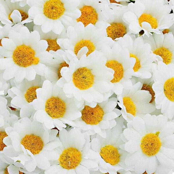 decorative flowers & wreaths 100pcs silk fake wedding party gerbera diy decoration home decor bridal heads artificial daisy bouquet floral g
decorative flowers & wreaths 100pcs silk fake wedding party gerbera diy decoration home decor bridal heads artificial daisy bouquet floral g