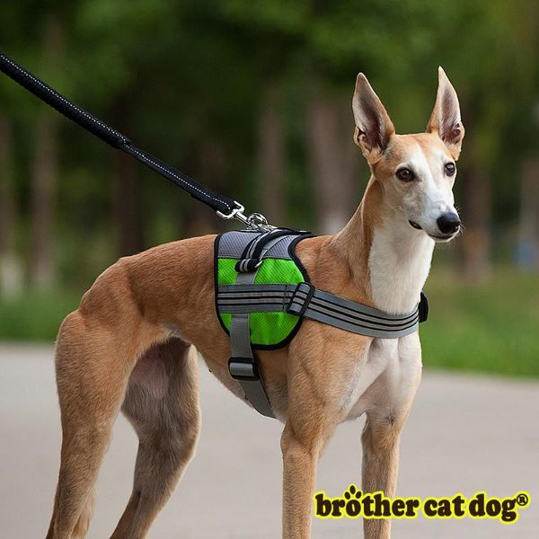 dog collars & leashes reflective large harness sxl protective big medium animal padded strong vest strap nylon pet collar for husky shepherd
dog collars & leashes reflective large harness sxl protective big medium animal padded strong vest strap nylon pet collar for husky shepherd