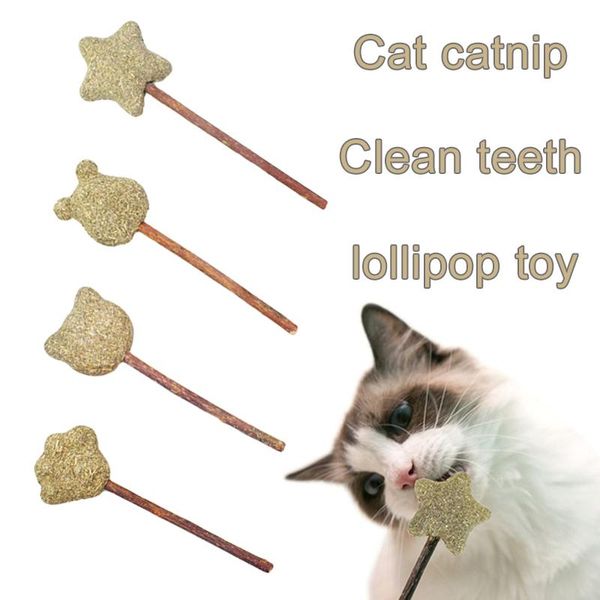cat toys grass catnip balls molars bite-resistant lollipops for kitten cleaning teeth mint cats gifts treat mini toy
cat toys grass catnip balls molars bite-resistant lollipops for kitten cleaning teeth mint cats gifts treat mini toy