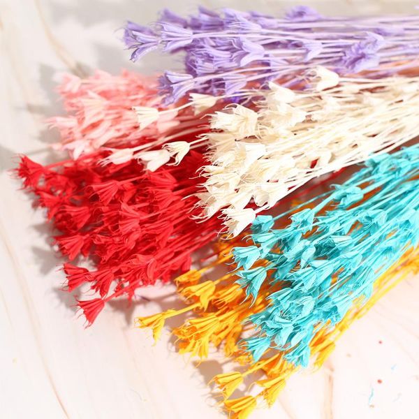 decorative flowers & wreaths over 35 flower heads,dried natural branch,diy dry eternelle star anise bouquet for home decor,floral arrangemen
decorative flowers & wreaths over 35 flower heads,dried natural branch,diy dry eternelle star anise bouquet for home decor,floral arrangemen