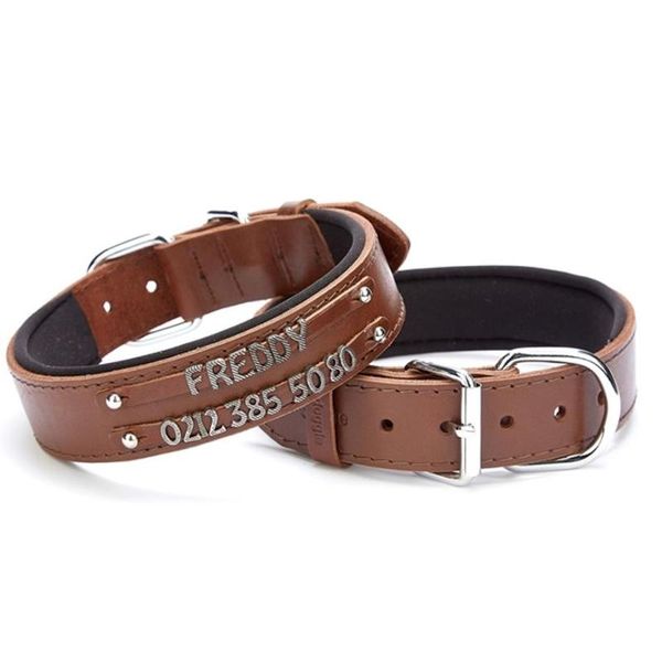 genuine leather dog collar with dual tag, handmade personalized collars for small, medium, large dogs, coll & leashes
genuine leather dog collar with dual tag, handmade personalized collars for small, medium, large dogs, coll & leashes