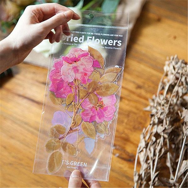gift wrap 6pcs scrapbook diy sticker flower plant manual diary toy decorative applique stationery illustration
gift wrap 6pcs scrapbook diy sticker flower plant manual diary toy decorative applique stationery illustration