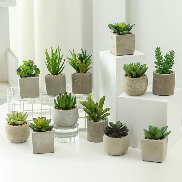 cement pot simulation deskdecoration succulent shooting props fake bonsai imitation green plants decorative flowers & wreaths
cement pot simulation deskdecoration succulent shooting props fake bonsai imitation green plants decorative flowers & wreaths