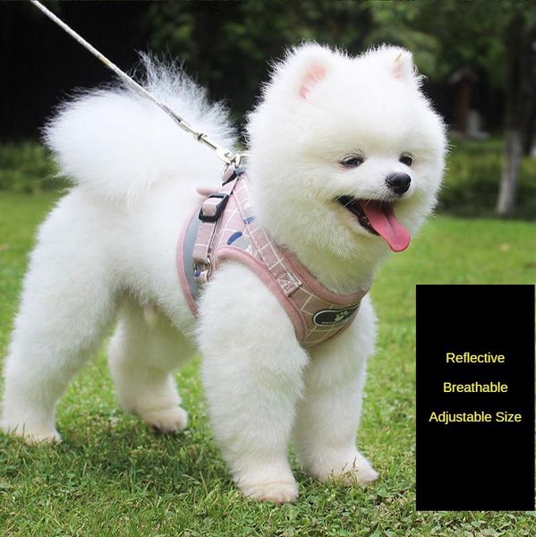 dog collars & leashes reflective leash vest type small and medium-sized rope teddy walking chest harness puppy supplies
dog collars & leashes reflective leash vest type small and medium-sized rope teddy walking chest harness puppy supplies
