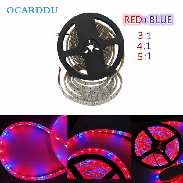 strips led light with 12v red and blue 3:14:15:1 plant hydroponics indoor planting two-color connector 1m2m3m4m5m
strips led light with 12v red and blue 3:14:15:1 plant hydroponics indoor planting two-color connector 1m2m3m4m5m