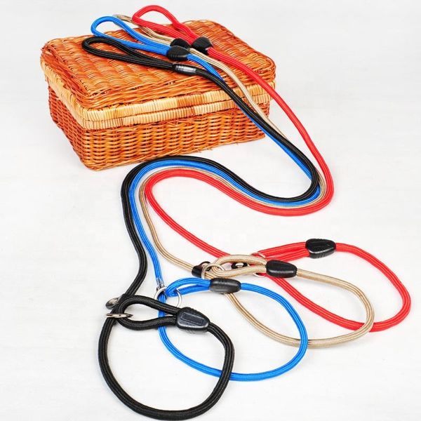pet supplies dog rope puppy p chain traction teddy for small medium sized collars & leashes
pet supplies dog rope puppy p chain traction teddy for small medium sized collars & leashes