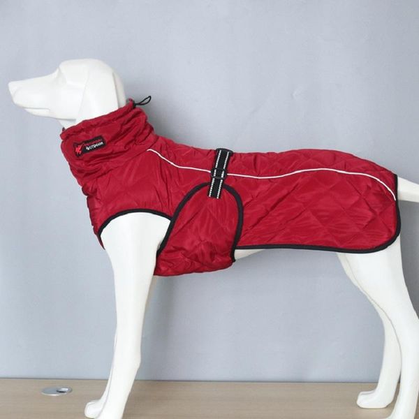 dog apparel pet clothes big large jacket coat winter soft warm fleece retriever thickening cotton for supplies
dog apparel pet clothes big large jacket coat winter soft warm fleece retriever thickening cotton for supplies