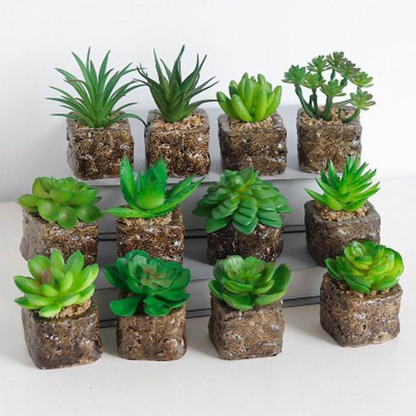1pcs 12 styles mini artificial succulent plants decorative cactus cacti faux potted (random) flowers & wreaths
1pcs 12 styles mini artificial succulent plants decorative cactus cacti faux potted (random) flowers & wreaths