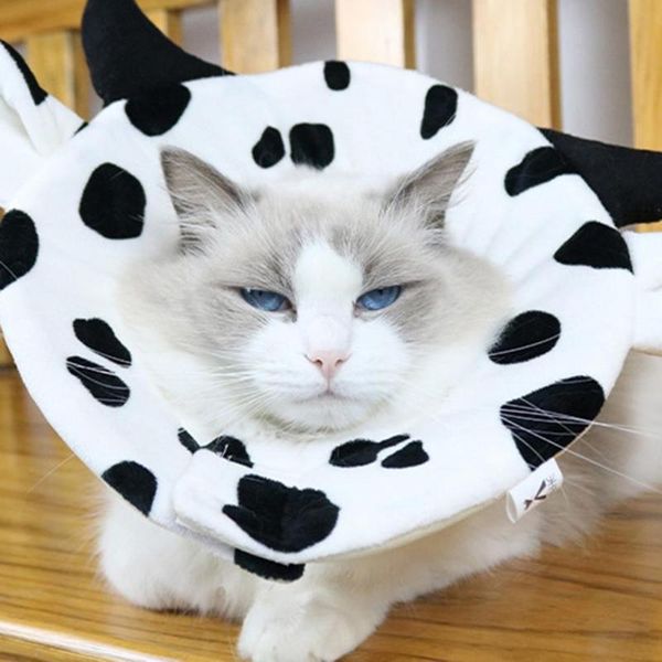 cat collars & leads comfortable skin-friendly cow design adjustable dog protective collar for home
cat collars & leads comfortable skin-friendly cow design adjustable dog protective collar for home