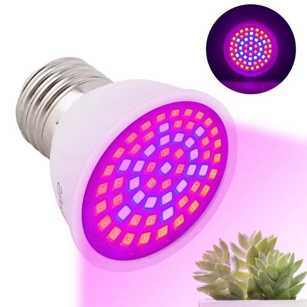 full spectrum led plant grow light bulb e27 110v 220v 60 leds phytolamp for indoor garden greenhouse hydroponics plants flowers lights
full spectrum led plant grow light bulb e27 110v 220v 60 leds phytolamp for indoor garden greenhouse hydroponics plants flowers lights