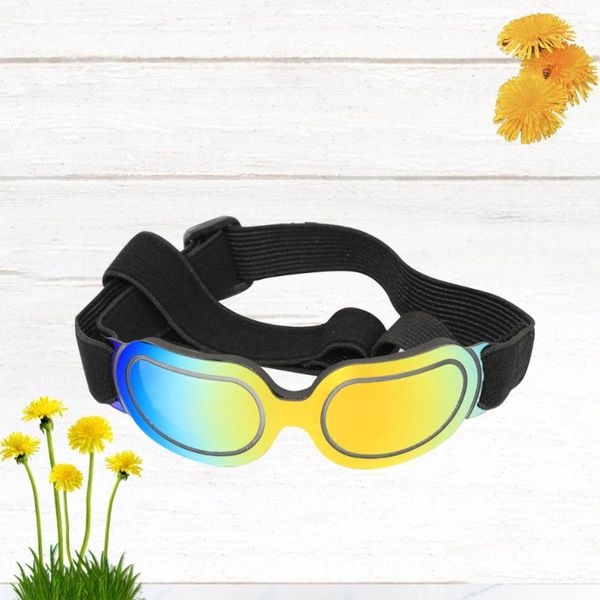 cat costumes pet sunglass funny creative beautiful decorative colorful glasses for dog (colorful)
cat costumes pet sunglass funny creative beautiful decorative colorful glasses for dog (colorful)
