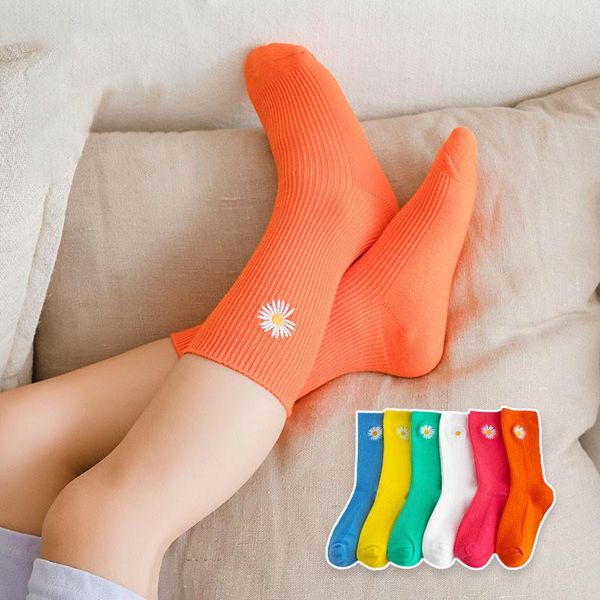 socks spring autumn girls knee high daisy toddler kids cotton tube korean student candy color for children, Pink;yellow
socks spring autumn girls knee high daisy toddler kids cotton tube korean student candy color for children, Pink;yellow