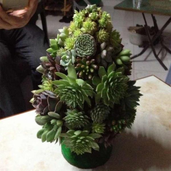 decorative flowers & wreaths 1pc christmas tree flower arrangement homemade diy succulent planting vase for use without plant
decorative flowers & wreaths 1pc christmas tree flower arrangement homemade diy succulent planting vase for use without plant