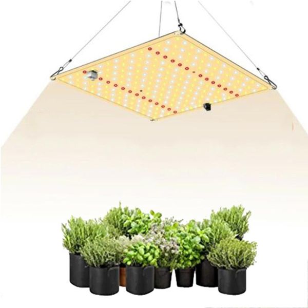 projector lamps quantum led grow light 650w pro full spectrum applicable for indoor plant vegetable flower greenhouse planting lamp
projector lamps quantum led grow light 650w pro full spectrum applicable for indoor plant vegetable flower greenhouse planting lamp