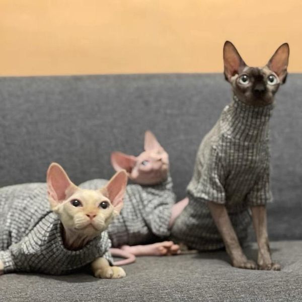 cat costumes winter turtleneck sphinx hairless sweater clothes high collar base coat devon
cat costumes winter turtleneck sphinx hairless sweater clothes high collar base coat devon