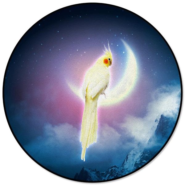 carpets parrot moon pattern rugs and for home living room round rug children rooms non-slip
carpets parrot moon pattern rugs and for home living room round rug children rooms non-slip
