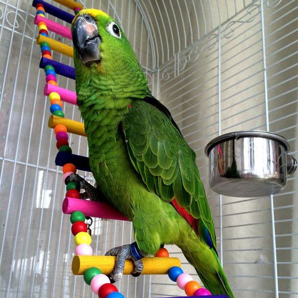 other bird supplies climbing ladder biting toy parrot birds swing wooden bridge climb cockatiel parakeet budgie pet toys
other bird supplies climbing ladder biting toy parrot birds swing wooden bridge climb cockatiel parakeet budgie pet toys