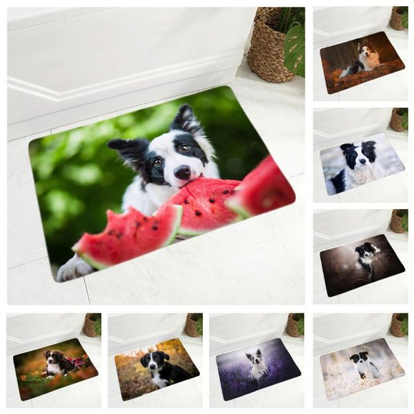 cushion/decorative pillow scotland border collie pet dog doormat decor animal 40x60cm floor door mat non-slip soft flannel carpet for hallwa 
cushion/decorative pillow scotland border collie pet dog doormat decor animal 40x60cm floor door mat non-slip soft flannel carpet for hallwa