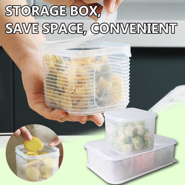 green ginger slices garlic fresh-keeping box refrigerator fruit and vegetable storage bottles & jars
green ginger slices garlic fresh-keeping box refrigerator fruit and vegetable storage bottles & jars