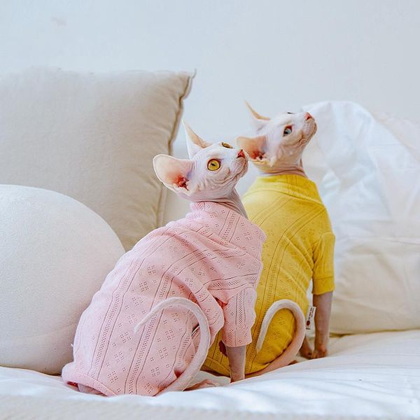 cat costumes four-legged clothes hairless sphinx devin thin cotton bottoming shirt accessories
cat costumes four-legged clothes hairless sphinx devin thin cotton bottoming shirt accessories