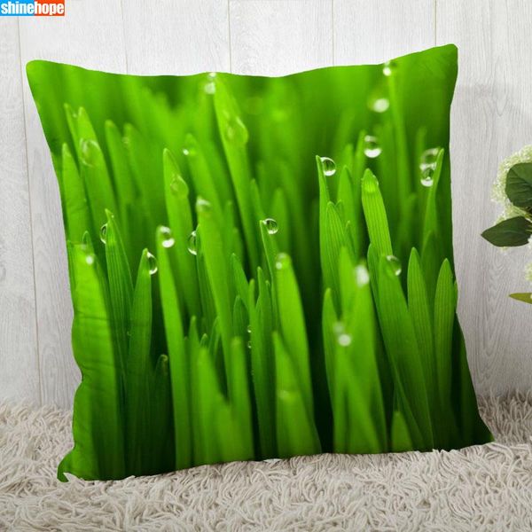 pillow case green grass cover customize pillowcase modern home decorative for living room 45x45cm,40x40cm a2021.6.15
pillow case green grass cover customize pillowcase modern home decorative for living room 45x45cm,40x40cm a2021.6.15