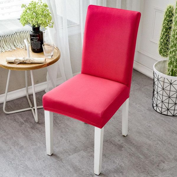 chair covers 4 seasons universal cover pure color kitchen seat slipcovers for wedding el restaurant removable cases
chair covers 4 seasons universal cover pure color kitchen seat slipcovers for wedding el restaurant removable cases
