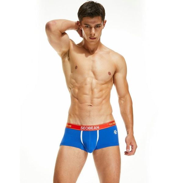 men's swimwear 2021 trendy fashion comfortable and breathable boxer briefs youth low-rise sexy
men's swimwear 2021 trendy fashion comfortable and breathable boxer briefs youth low-rise sexy