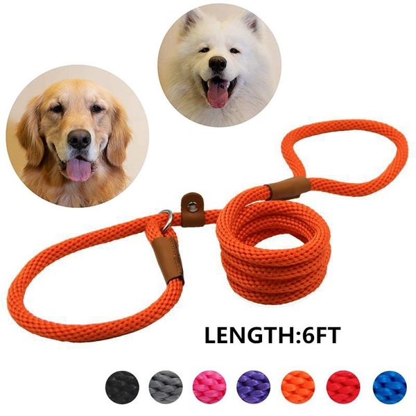 5feet dog leash slip rope lead strong heavy duty braided no pull training leashes for medium large dogs collars &
5feet dog leash slip rope lead strong heavy duty braided no pull training leashes for medium large dogs collars &