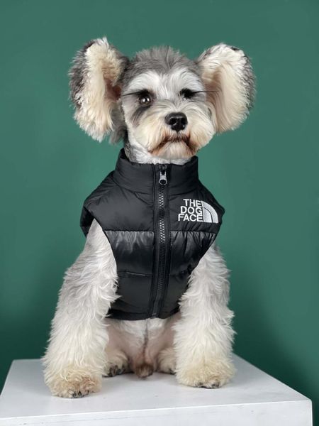 luxurious the dog face pet clothes autumn winter warmth and thick down vest, small medium sized teddy schnauzer apparel
luxurious the dog face pet clothes autumn winter warmth and thick down vest, small medium sized teddy schnauzer apparel