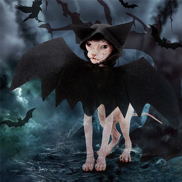 cat costumes fashion pet halloween costume black bat wings funny decoration party props cosplay accessories clothes supplies wholesale
cat costumes fashion pet halloween costume black bat wings funny decoration party props cosplay accessories clothes supplies wholesale