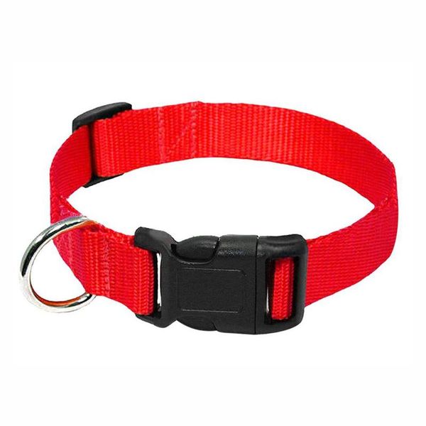 dog collars & leashes collar quick release neck walking home portable running soft with buckle nylon accessory adjustable length leash pet
dog collars & leashes collar quick release neck walking home portable running soft with buckle nylon accessory adjustable length leash pet
