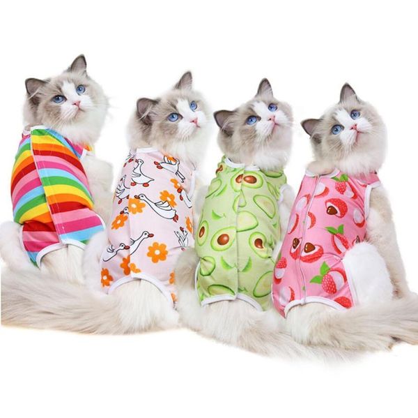 cat costumes physiological clothes female sanitary jumpsuits prevent after wear anti pet licking wounds
cat costumes physiological clothes female sanitary jumpsuits prevent after wear anti pet licking wounds
